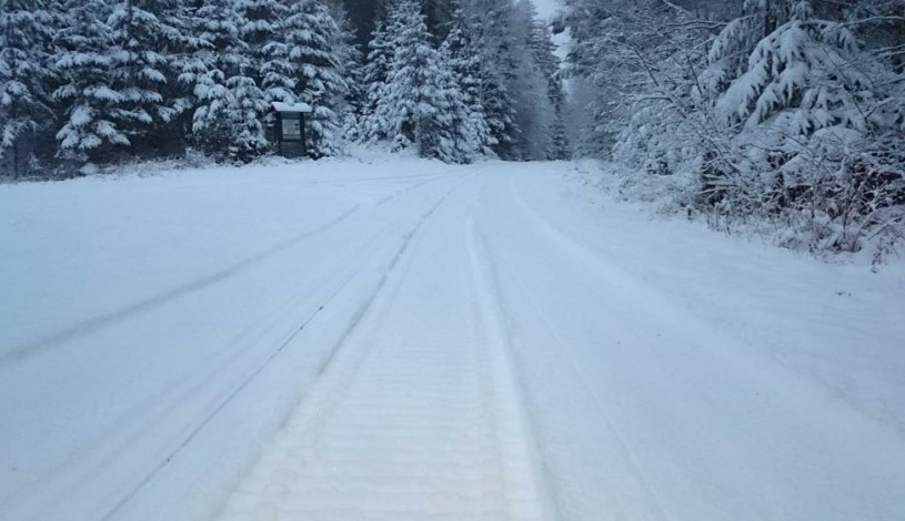 Penzion Eliška Horní Planá